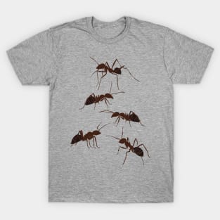 Ants T-Shirt